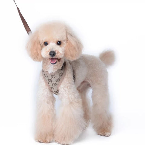 Ensemble harnais et laisse pour chien en denim beige inspiré de Gucci / Gucci inspired beige denim dog harness and leash set