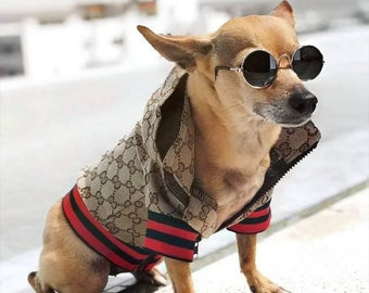 Veste à capuche inspiré de Gucci pour chiens et chats, jacket with hood Gucci inspired for dogs and cats