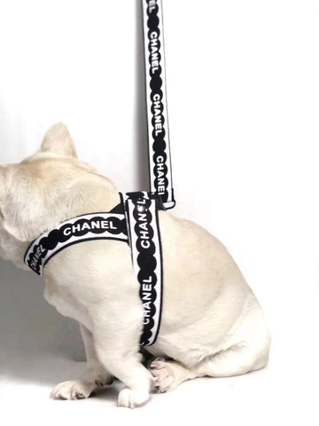 Ensemble harnais et laisse pour chien inspiré de Chanel / Chanel inspired dog harness and leash set