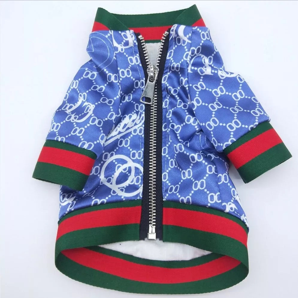 Veste printanière bleue inspirée de Gucci pour chiens et chats/Blue Gucci inspired spring jacket for dogs and cats